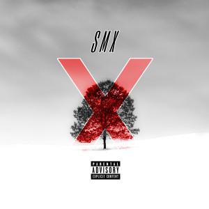 Listen to Zweitausendzweier (Explicit) song with lyrics from smx
