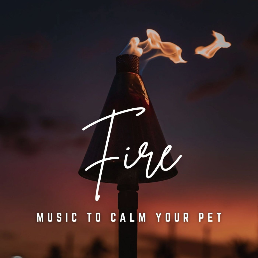 Gentle Firelight Companions