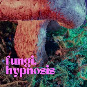 6. Hypnosis (feat. Grzyb Minion, Roe Jogan & Neil deGrasse Tyson) dari D-Tune