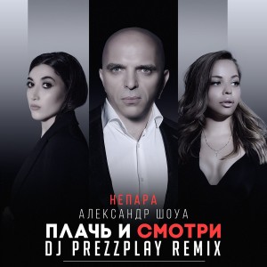 Listen to Плачь и смотри (Dj Prezzplay Radio Edit) song with lyrics from Александр Шоуа