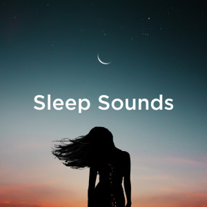 Listen to Sleep Music & Rain song with lyrics from Nature Sound Collection
