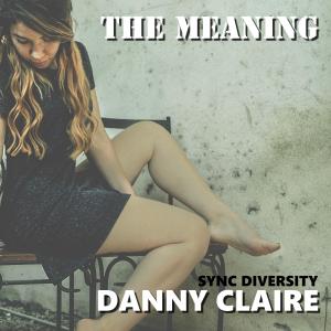 Album The Meaning oleh Sync Diversity