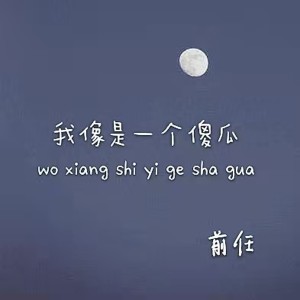 Album 我像是一个傻瓜 from 前任