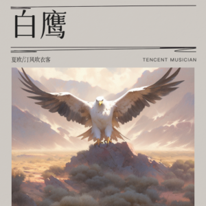 Listen to 白鹰 (完整版) song with lyrics from 乐小菲