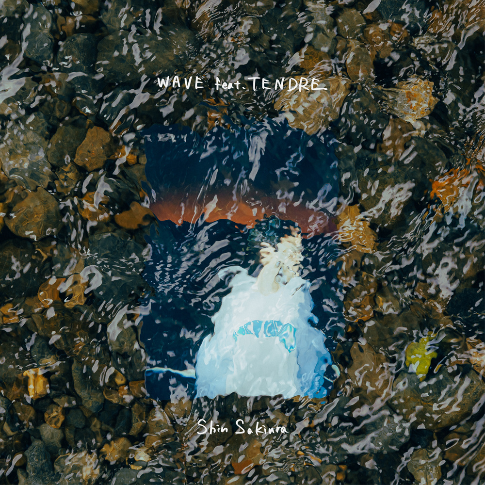 WAVE(feat. TENDRE)
