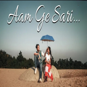 Album Aam Ge Sari from Dingra Boyz