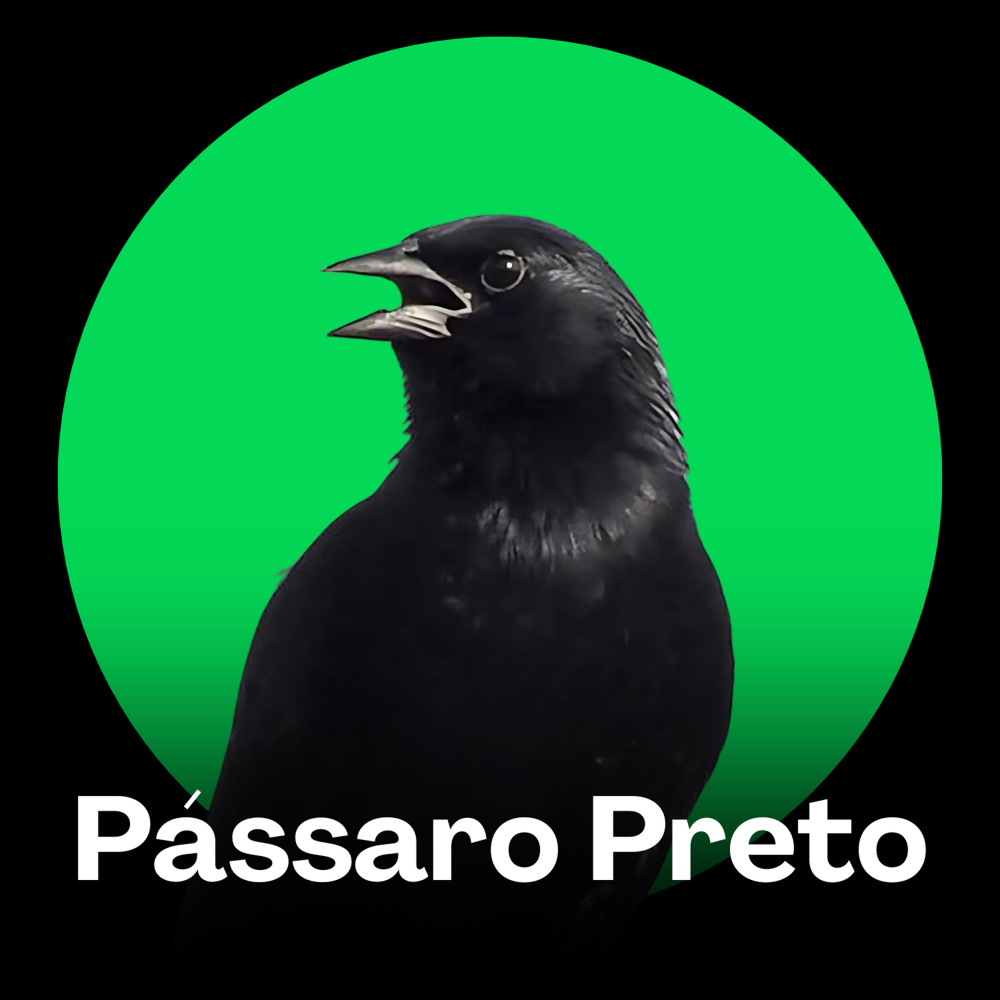 Pássaro Preto - Canto para Paz Interior