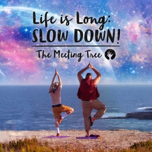 The Meeting Tree的專輯Life is Long: Slow Down!