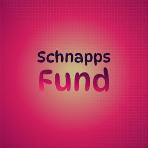 Various的专辑Schnapps Fund
