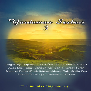 ดาวน์โหลดและฟังเพลง Hadi Yürü (Senden Bir Şey Olmaz) พร้อมเนื้อเพลงจาก Şahmaral