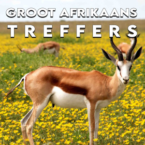 อัลบัม Groot Afrikaans Treffers ศิลปิน Various