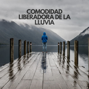 Album Comodidad liberadora de la lluvia oleh Colmena de Lluvia