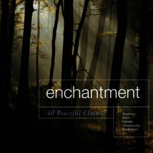 收聽Crimson Ensemble的Adagio From Sonata Pathetique歌詞歌曲