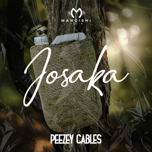 Listen to Josaka song with lyrics from Peezey Cables