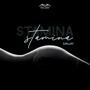 Stamina (Radio Edit) dari Sanjay