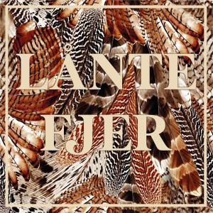 Jens Stål的專輯Lånte Fjer