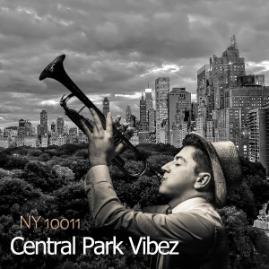 Album Central Park Vibez from NY 10011