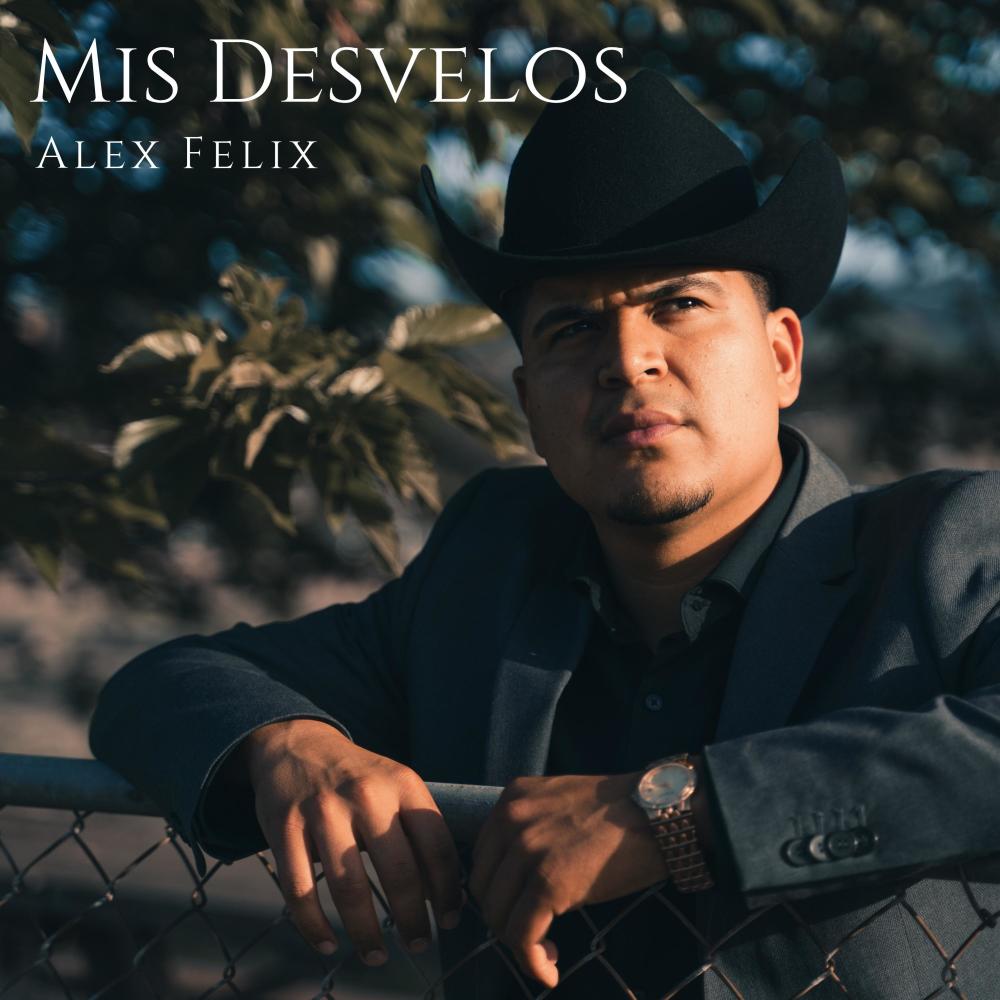 MIS DESVELOS