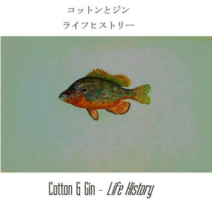 收聽Gin的銀河系ライフ Intergalactic Life歌詞歌曲