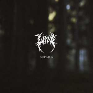 ดาวน์โหลดและฟังเพลง Supar G (Explicit) พร้อมเนื้อเพลงจาก Linni