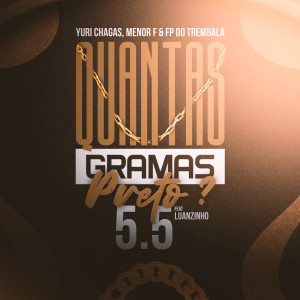 收聽DJ YURI CHAGAS的Quantas Grama Preto  5.5歌詞歌曲