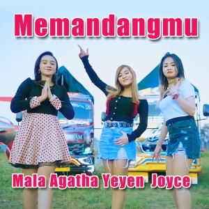 Album Memandangmu (Cover) oleh Yeyen