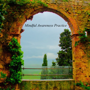 Album Mindful Awareness Practice oleh Maria Napoli, Ph.D.