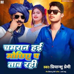 Listen to Chamran Hai Mochhiye P Taav Rahi song with lyrics from Priyanshu Premi