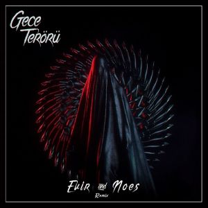 NOES的专辑Gece Terörü (Evir & NOES Remix)