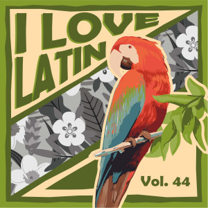 Listen to Encontré Una Nueva Nena song with lyrics from Hymie Schertzer