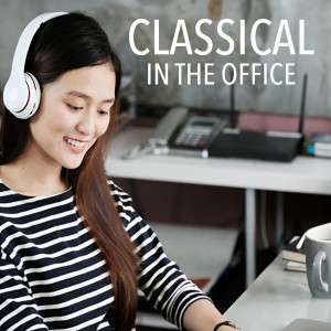Listen to Symphony No 2 in D major, Op 73: II song with lyrics from United Baltic States Orchestra