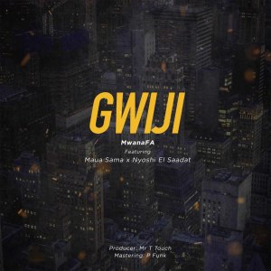 Album Gwiji from MwanaFA