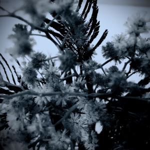 收听Trinaural In Dub的Lullaby歌词歌曲