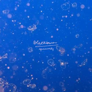 อัลบัม equanimity ศิลปิน Blackburn