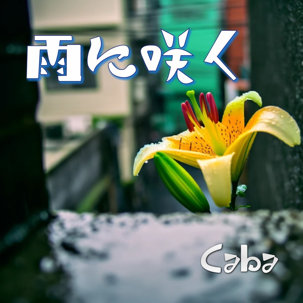 雨に咲く