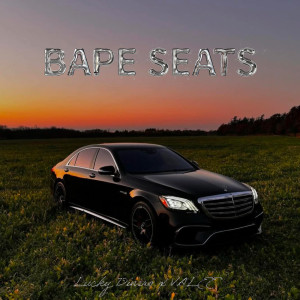 Listen to Bape Seats (Explicit) song with lyrics from LUCKY DINERO