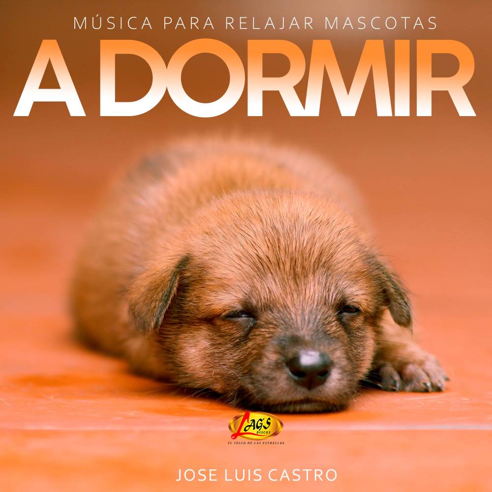 A Dormir (Música Para Relajar Mascotas)