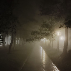 softsync的專輯undressed (instrumental slowed & reverb with rain)