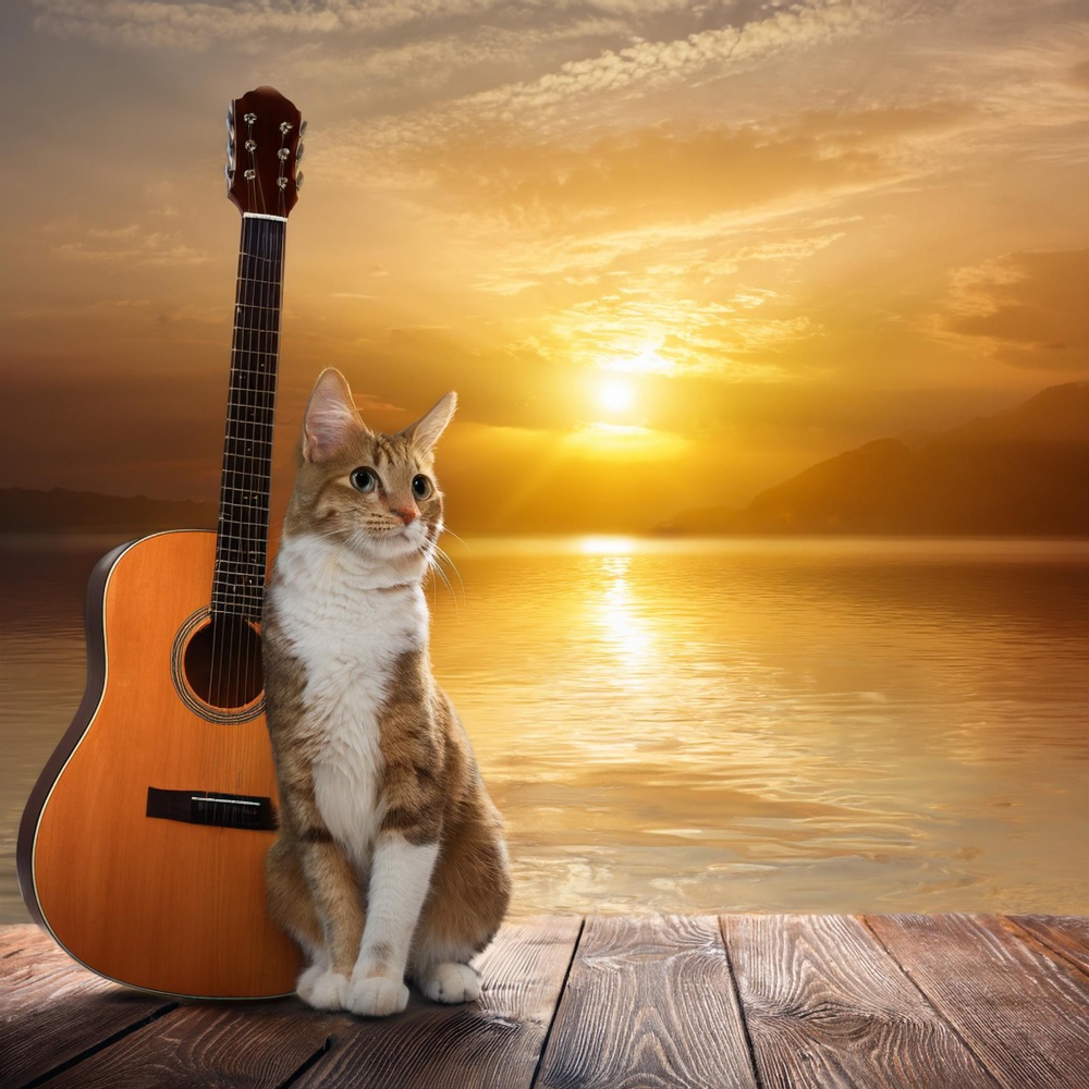 Gentle Waterside Cats