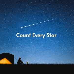 Album Count Every Star from 