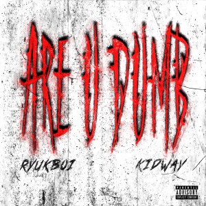 ดาวน์โหลดและฟังเพลง ARE U DUMB พร้อมเนื้อเพลงจาก 硫克男孩RryukBoi