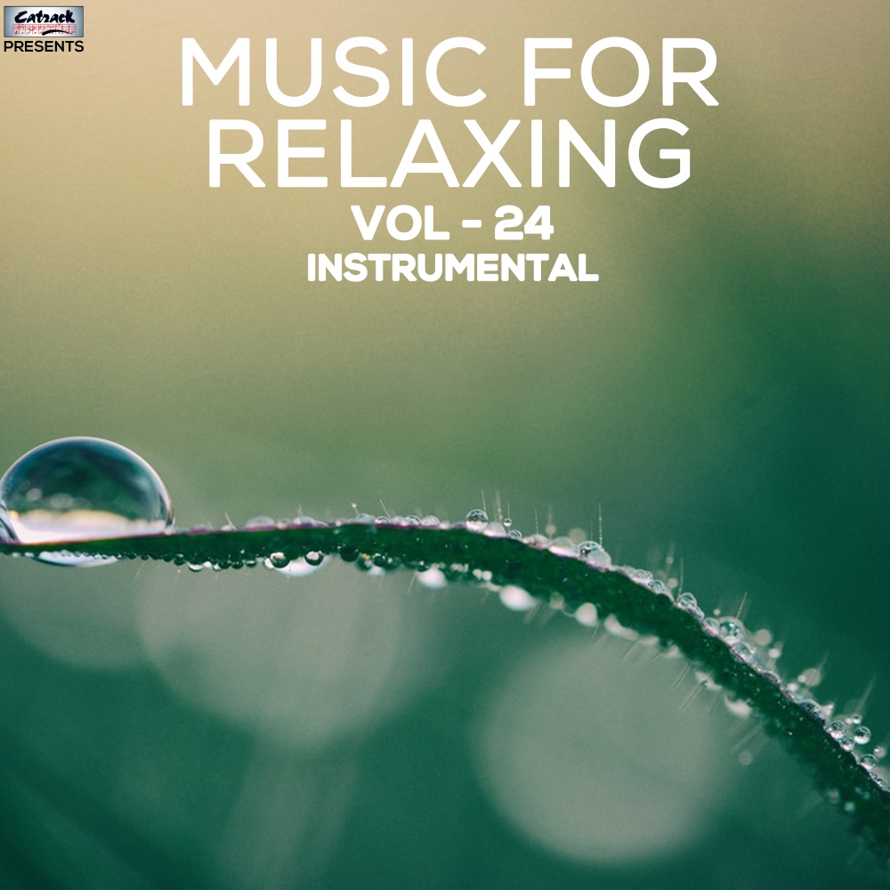 Music for Relaxing, Vol. 24
