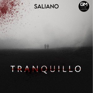 Listen to Tranquillo song with lyrics from Saliano