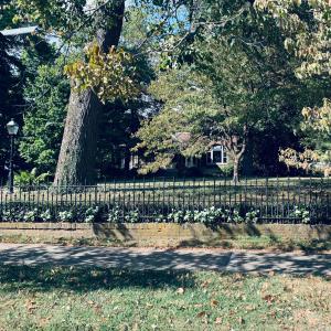 收聽oneBYone的Jungle Man歌詞歌曲