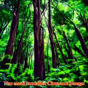 อัลบัม The Most Beautiful Classical Songs ศิลปิน Various Artists