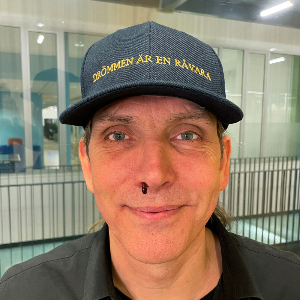 Lyckokakor