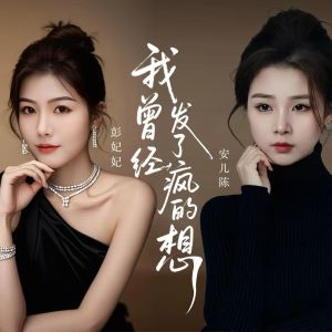 彭妃妃的專輯我曾經發了瘋的想