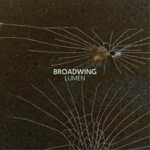 收听Broadwing的Wasp歌词歌曲