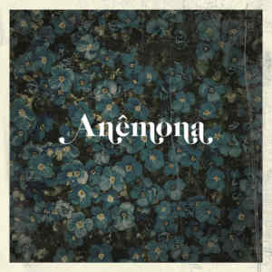 Album Anêmona from Billa Qause