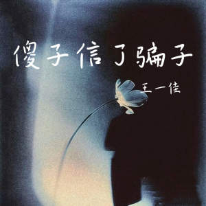 Album 傻子信了骗子 from 王一佳